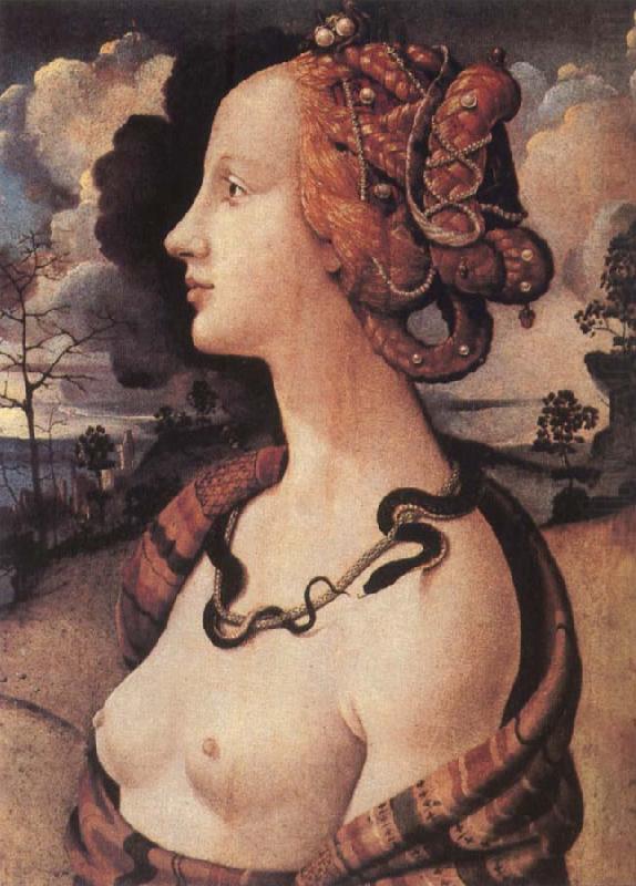 Portrait of Simonetta vespucci, Piero di Cosimo